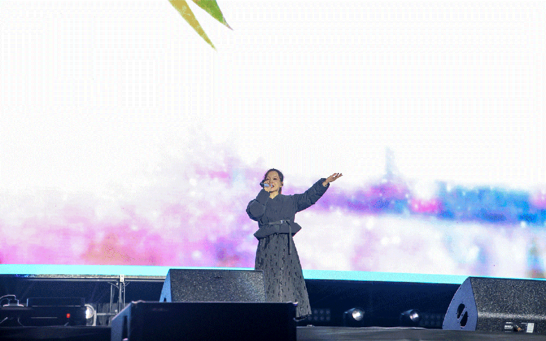 平陽體育中心群星演唱會！超萬人圍觀，現(xiàn)場火爆High唱！